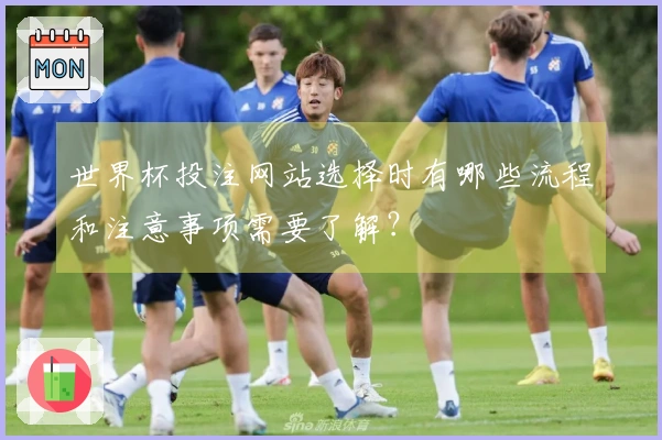 世界杯投注网站选择时有哪些流程和注意事项需要了解？