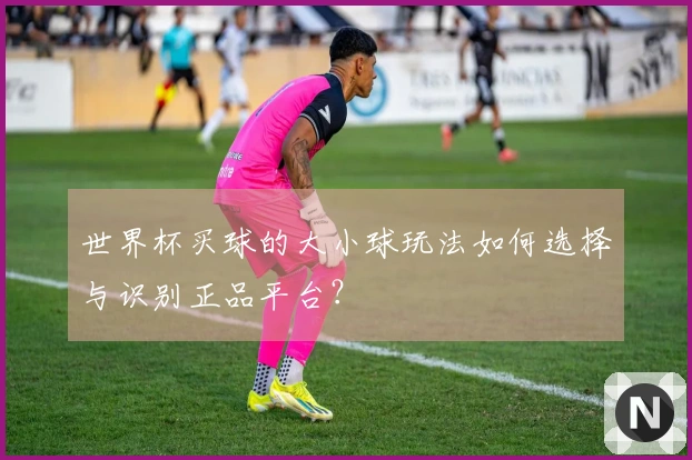 世界杯买球的大小球玩法如何选择与识别正品平台？