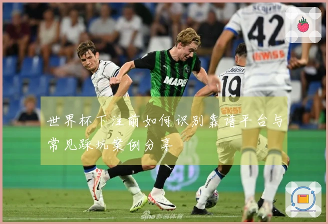 世界杯下注前如何识别靠谱平台与常见踩坑案例分享
