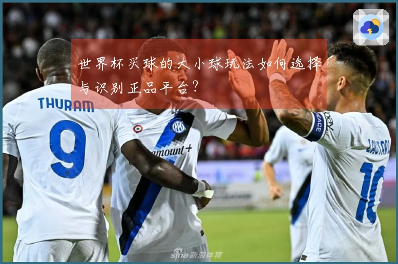 世界杯买球的大小球玩法如何选择与识别正品平台？
